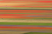 Castelluccio di Norcia, Umbria, Italia