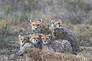 Family in the rain - Pierluigi Rizzato