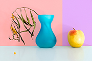 La mela la mimosa e il vaso blu - Biagio Salerno